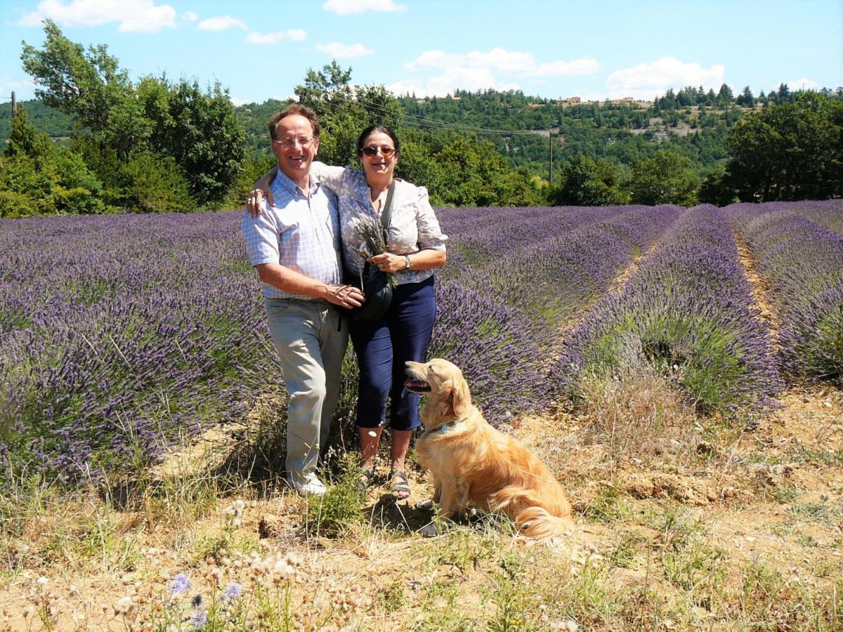 Bed and Breakfast Santolines En Provence Piolenc Zewnętrze zdjęcie