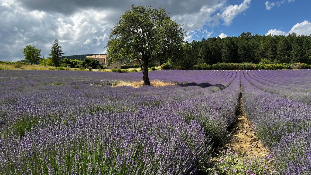Bed and Breakfast Santolines En Provence Piolenc Zewnętrze zdjęcie