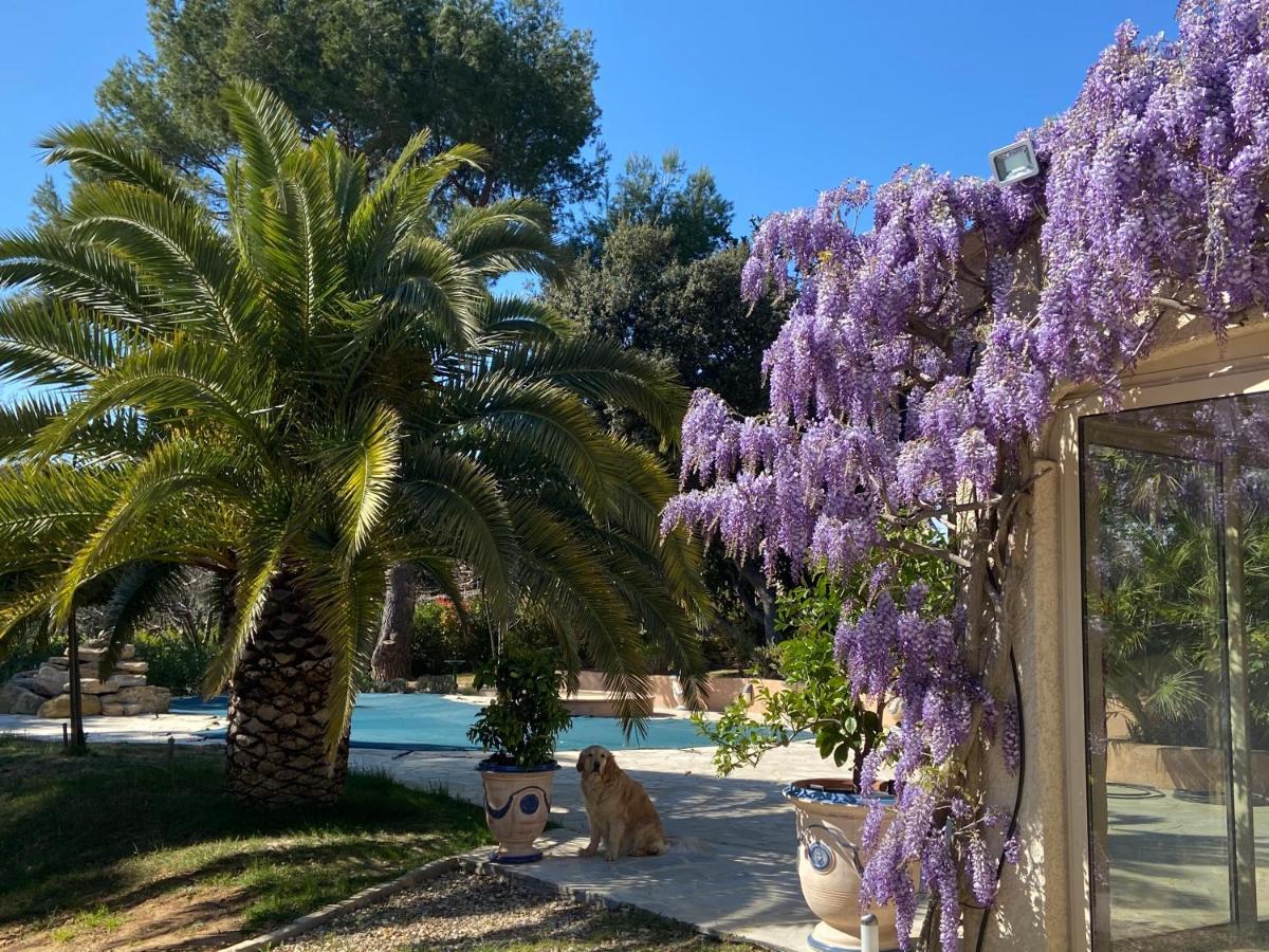 Bed and Breakfast Santolines En Provence Piolenc Zewnętrze zdjęcie