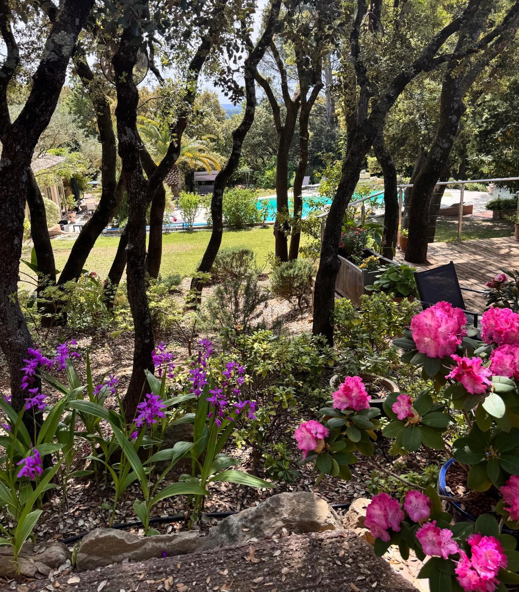 Bed and Breakfast Santolines En Provence Piolenc Zewnętrze zdjęcie